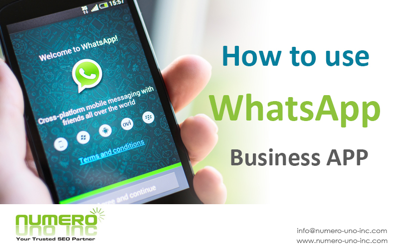 how to use WhatsApp Business App