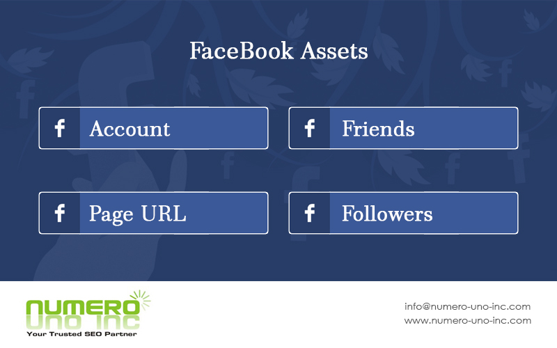what-are-facebook-assets