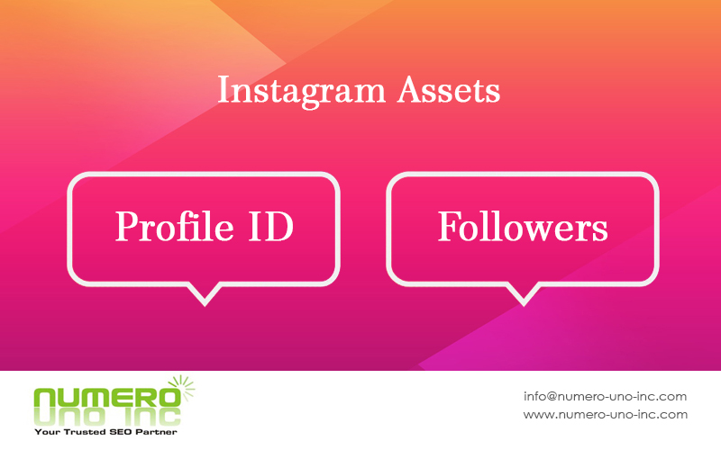 what-are-instagram-assets
