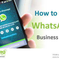 how-to-use-whatsapp-business-app